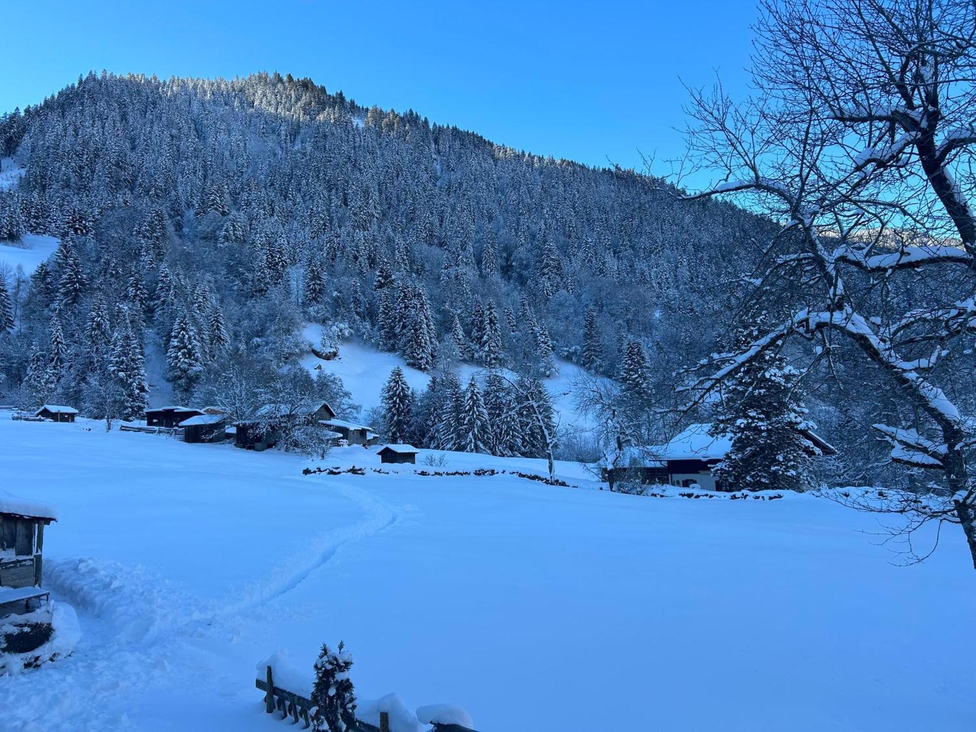 Haus Lechner Lägenhet Gaschurn Exteriör bild